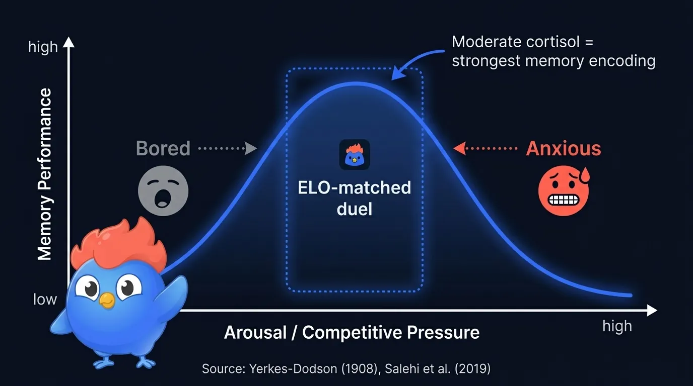 Diagramme en U inversé montrant l'activation face à la performance mnésique, avec la zone d'ennui à gauche, la zone optimale de duel ELO au centre, et la zone d'anxiété à droite, d'après la loi de Yerkes-Dodson et les recherches de Salehi 2019 sur le cortisol