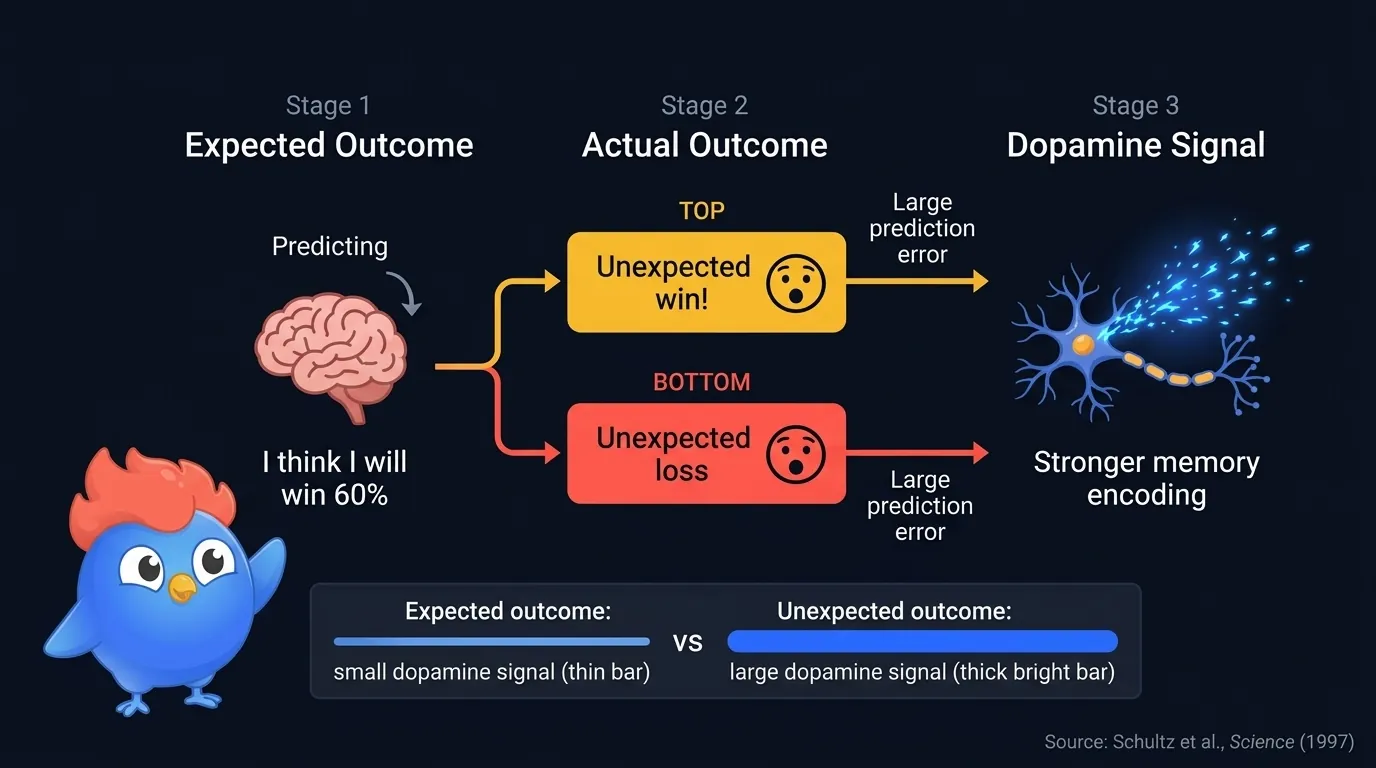 Diagramme d'erreur de prédiction montrant un résultat attendu produisant un petit signal dopaminergique contre un résultat inattendu produisant un grand signal dopaminergique qui renforce l'encodage mnésique, d'après Schultz et al 1997
