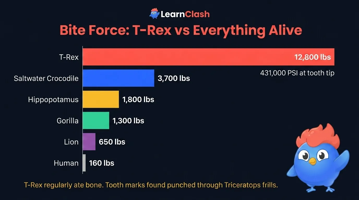 Bite force comparison chart: T-Rex 12,800 pounds, saltwater crocodile 3,700 pounds, lion 650 pounds, human 160 pounds, with jaw illustrations to scale