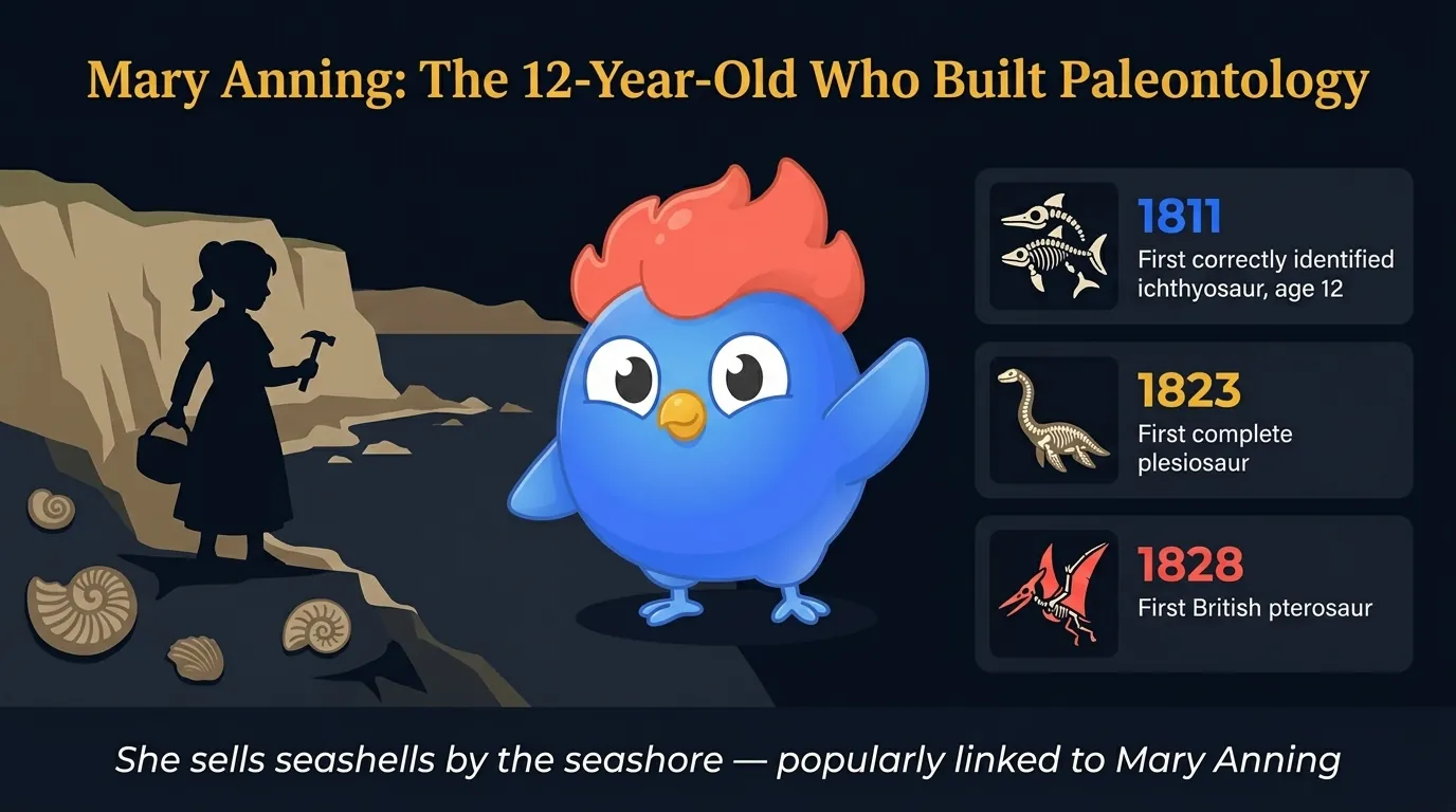 Mary Anning discovery timeline: 1811 ichthyosaur at age 12, 1823 first plesiosaur, 1828 first British pterosaur, all from the cliffs of Lyme Regis, England