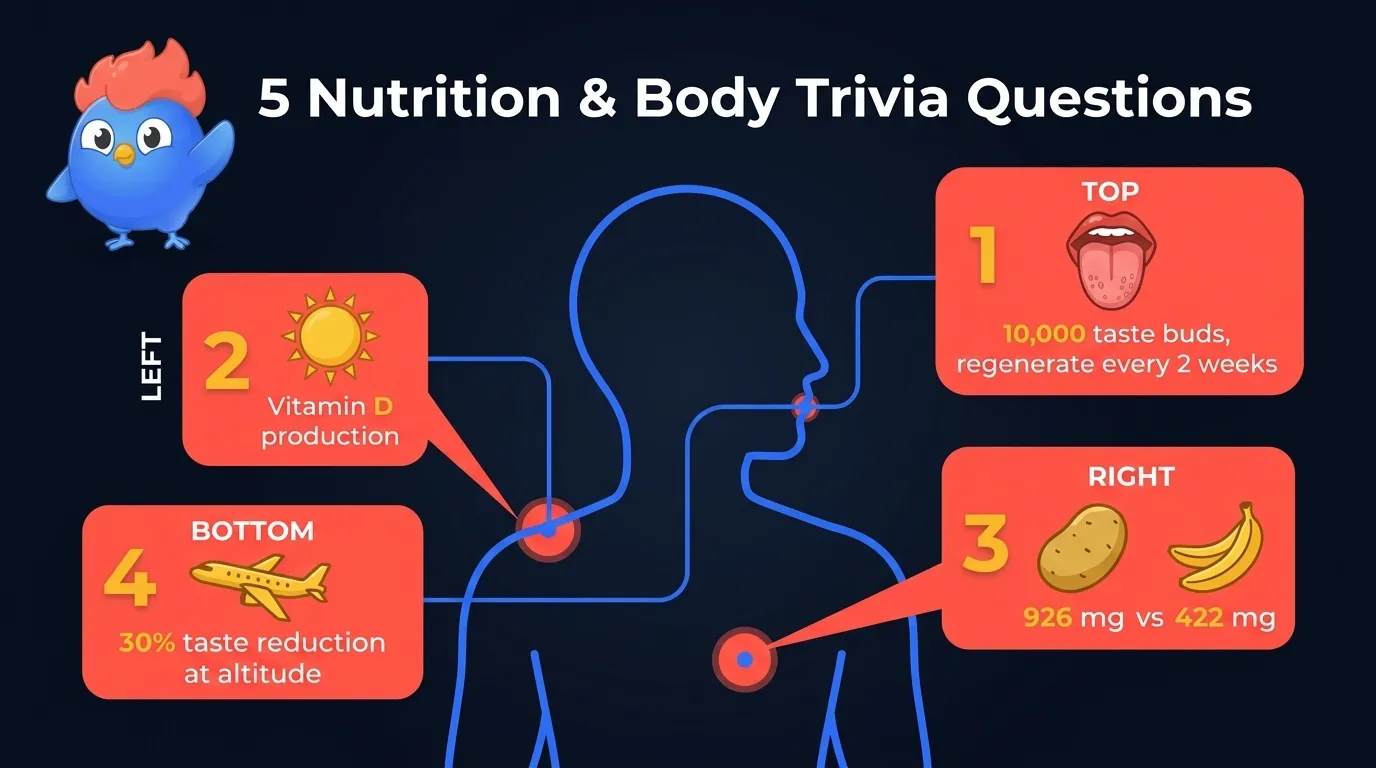 5 nutrition trivia questions: 10,000 taste buds regenerating every 2 weeks, vitamin D from sunlight, potato beats banana in potassium (926mg vs 422mg), 30% taste reduction at airplane altitude