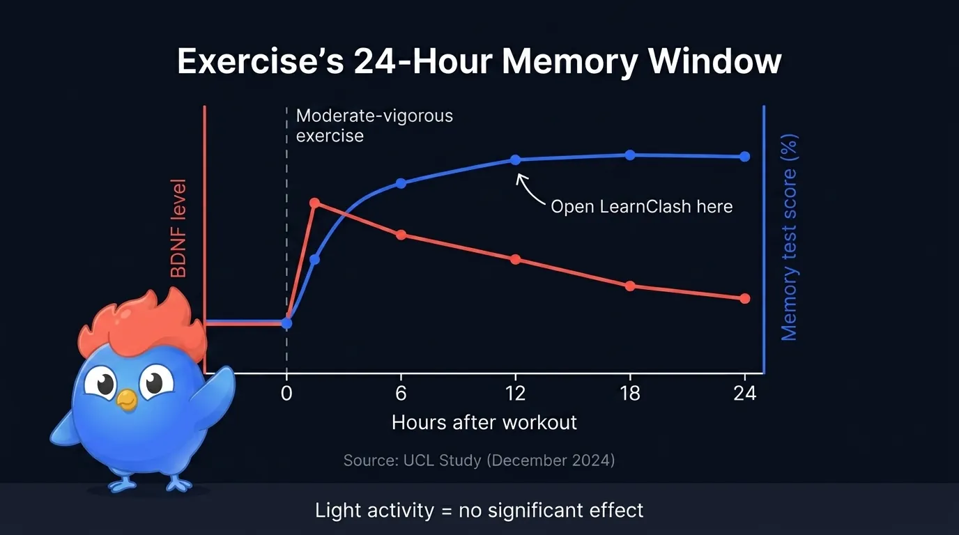 Curva mostrando el BDNF elevándose bruscamente tras ejercicio moderado a vigoroso y manteniéndose alto durante 24 horas, superpuesta sobre los puntajes de pruebas de memoria