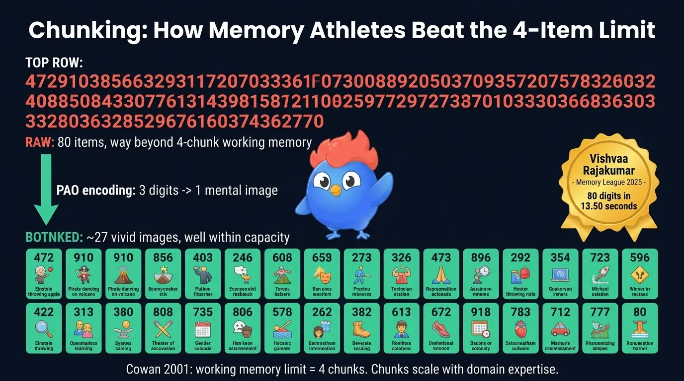 Chunking infographic: raw string of 80 random digits shown as a dense unreadable block, then chunked into 27 PAO person-action-object mental images via a 3-digit encoding scheme, showing how memory athletes compress information to beat Cowan's 4-chunk limit and memorize 80 digits in 13.5 seconds, Memory League 2025