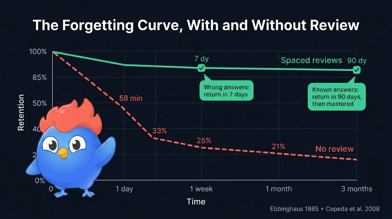 Forgetting curve diagram showing retention dropping to 33 percent after 24 hours without review, with spaced reviews at 7 and 90 day intervals resetting the curve and keeping retention above 80 percent, based on Ebbinghaus 1885 and LearnClash Mems schedule