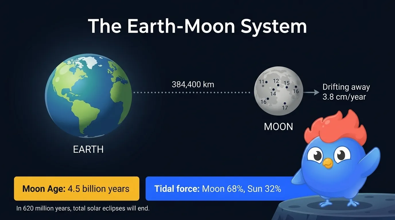 Earth-Moon system diagram showing distance of 384,400 km, Moon drift rate of 3.8 cm per year away from Earth, tidal force arrows, and six Apollo landing sites marked on the near side