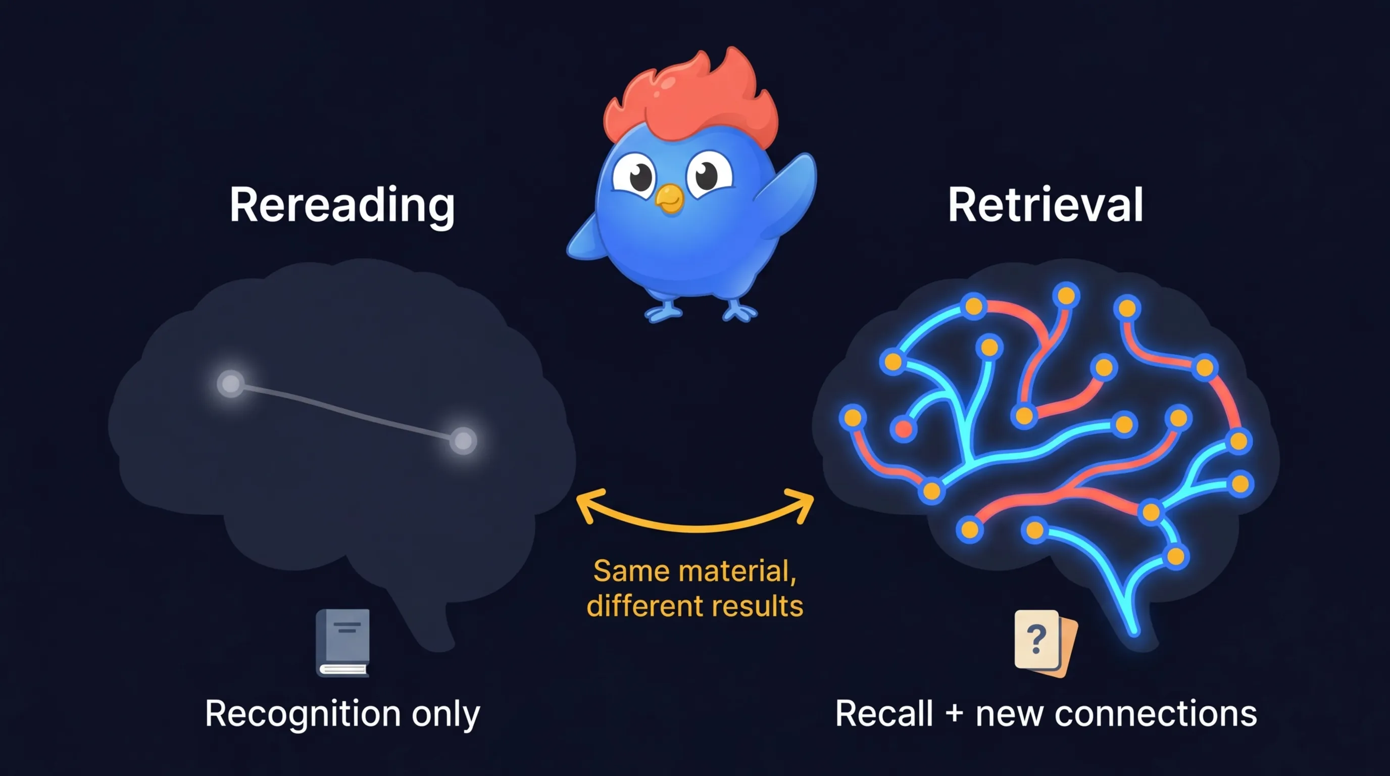 Schéma cérébral montrant la relecture passive créant une trace mnésique unique et fragile contre la récupération active créant de multiples connexions neuronales solides dans les duels quiz LearnClash