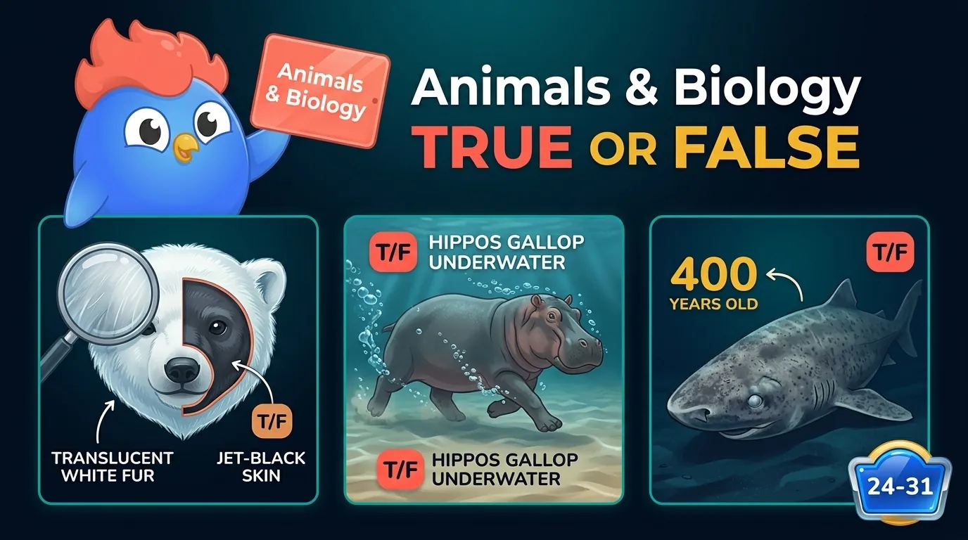 A hippo galloping on the riverbed underwater with a "cannot swim" label, a polar bear with a cutaway showing black skin under white fur, and a Greenland shark labeled age 400 years