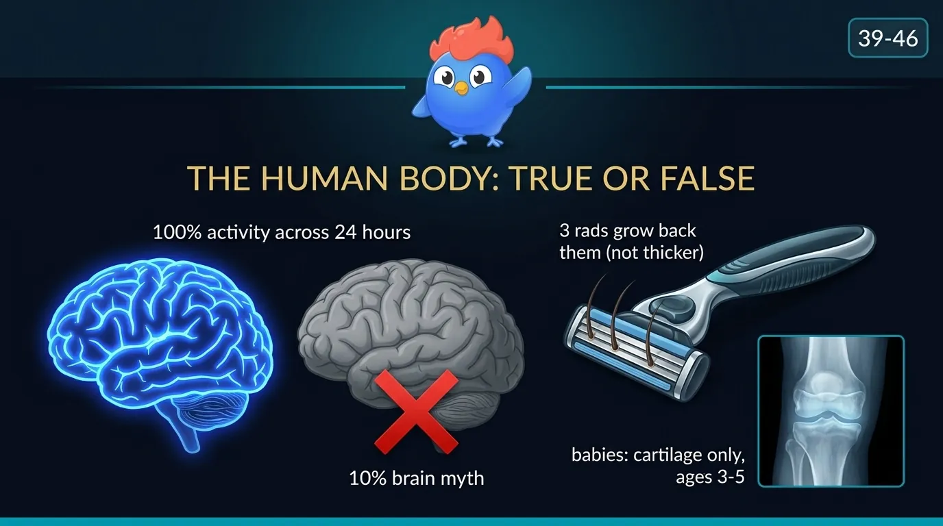 An illustration of a human brain with every region glowing blue labeled "100% activity" contrasted with a greyed-out brain labeled "the 10% myth" struck through