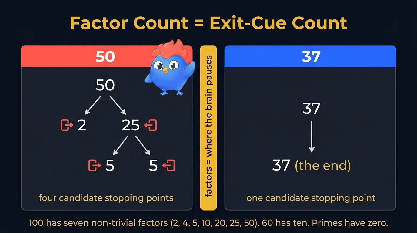 Factor tree diagram comparing 50 (decomposes to 2 times 5 times 5, with subfactors 25, 10, 5, 2 highlighted as candidate exit cues) and 37 (sits alone, no subfactors, with annotation "the only stopping point is 37 itself"), divider text "factor count equals exit-cue count"