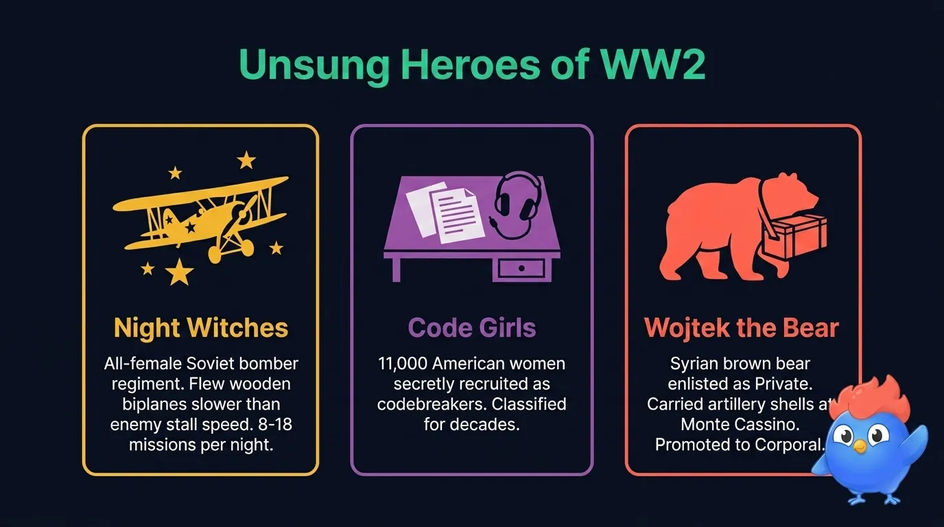 WW2 home front heroes: Night Witches all-female Soviet bomber regiment in wooden biplanes, Code Girls 11,000 American women codebreakers classified for decades, Wojtek the bear enlisted as Private and promoted to Corporal